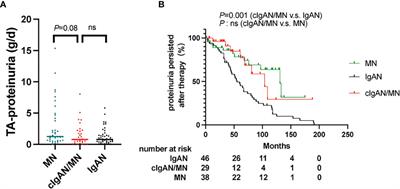 Corrigendum: Concurrent IgA nephropathy and membranous nephropathy, is it an overlap syndrome?